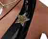 ranger placa