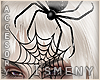 [Is] Spider Black Veil