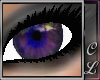 Obsession Eye - Violet