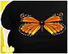 Monarch Butterfly x