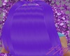 Taky Purple