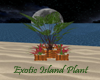 Exotic Island Plant