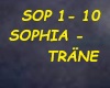 SOPHIA -TRAENE