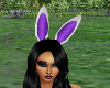 Purple Anim Bunny Ears