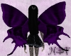 Purple ButterflyWings