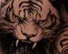BrotherlyeTigers LSide