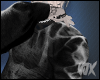 "BaggySkull