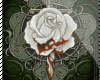 goth rose