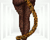 S. Meoow - Tail Animated