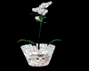 Marshmallow Kitty Vase
