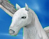 Animated Pegasus