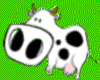 FunnyCow