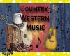 Country western art sign