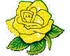 Yellow Glitter Rose