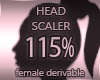 Head Resizer 115%