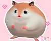 p. hamster