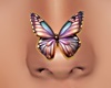 Tropical Nose Butterfly