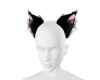 .M. Kitty Ears - Black