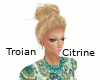 Troian - Citrine