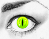 Green Cat eyes