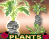 Reflective Plants Stone