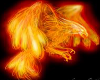 room phoenix