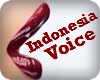 |GTR| Indonesia Voicebox