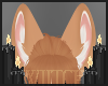 ii Spice Ears 1
