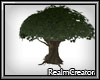 [RC] Forgotten Tree 3