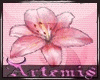 Pink Flower Gif Sticker