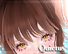 Coffee Bangs | Q