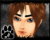 :A Forest Fire Akito