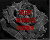 Sylent Darkness Kingdom