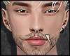 Mesh Juan ll