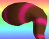 Brown Sugar Tail