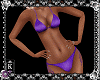 Hot Grape Bikini Bundle