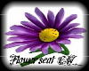 {CW}Purple Flower Seat