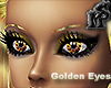 Golden Eyes Femme