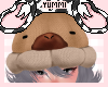 Capy Beani Ash