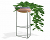 Plant Stand 3