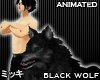 ! Black Arctic Wolf #Ani