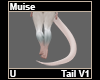 Muise Tail V1