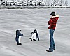 Animated Penguins