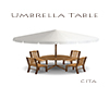 *C* Umbrella Table
