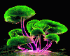Mushroom Animated