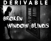 Derivable Window Blinds