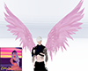 Pink Wings-CL