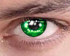 Soft Green Eyes 2 M