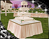 SC: Wedding Cake