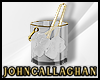 |C| Ice Bucket V2
